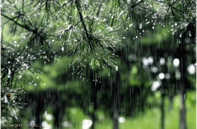 梅雨 柳宗元 梅实迎时雨，苍茫值晚春。 愁深楚猿夜，梦断越鸡晨。 海雾连南极，江云暗北津。 素衣今尽化，非为帝京尘。 好女儿 晏几道 绿遍西池。梅子青时。 尽无端、尽日东风恶，更霏微细雨，恼人离恨，满路春泥。 应是行云归路，有闲泪、洒相思。 想旗亭、望断黄昏月，又依前误了，红笺香信，翠袖欢期。