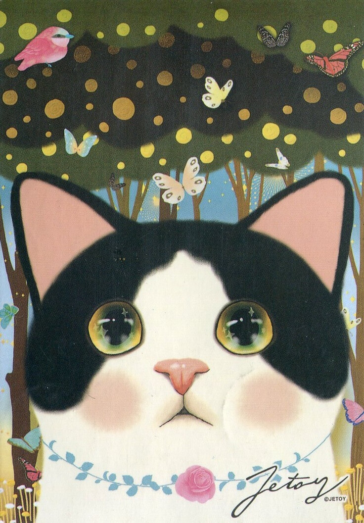 Jetoy~cat