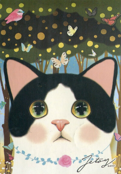 Jetoy~cat