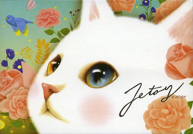 Jetoy ~ cat