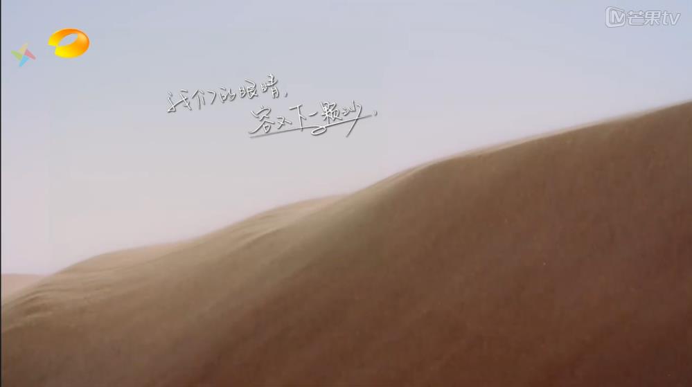 我们的眼睛 容不下一颗沙