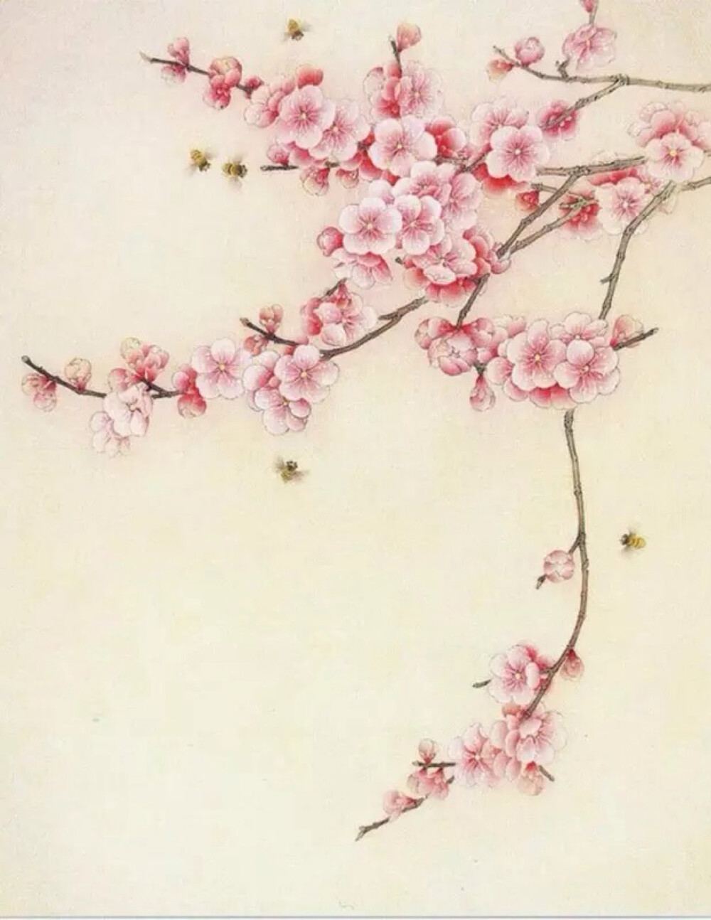 清新水彩画 手绘 植物 花卉 自然风景 清新淡雅 唯美插画