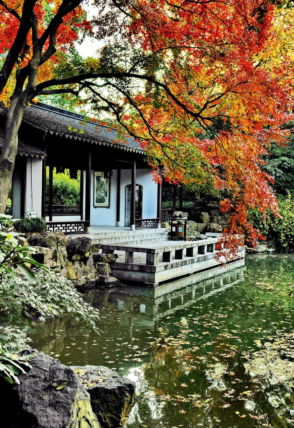 临水赏月少不了亭台轩榭图为寄畅园的先月榭是古人临水赏月之处