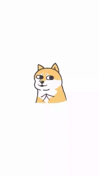 壁纸 doge 大图