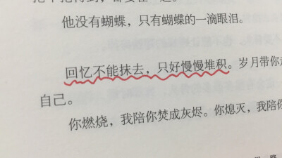 《从你的全世界路过》张嘉佳/著