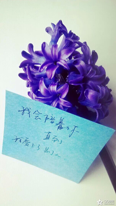 【十七】手写，图片，文字。