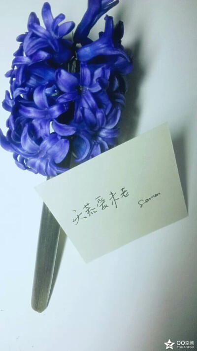 【十七】手写，图片，文字。