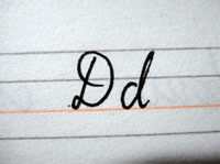 英文花体字图“Dd”