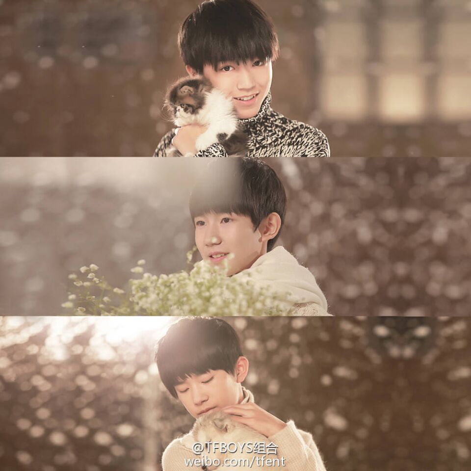 tfboys