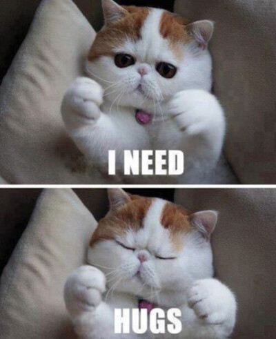 I need hug