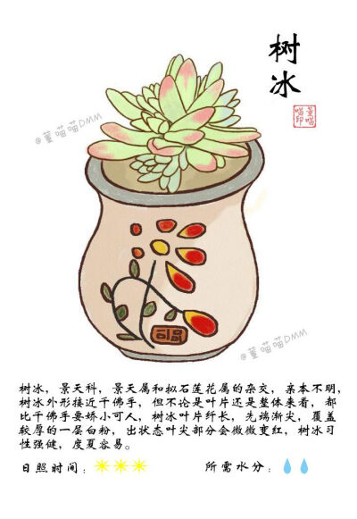 多肉植物 多肉绘 @董喵喵DMM 更多内容请关注：weibo.com/dongmiaomiao520