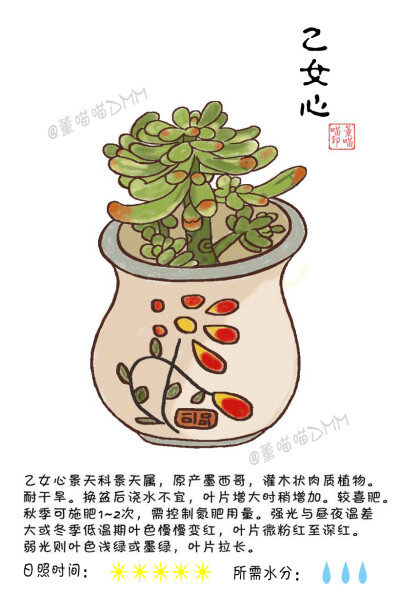 多肉植物 多肉绘 @董喵喵DMM 更多内容请关注：weibo.com/dongmiaomiao520