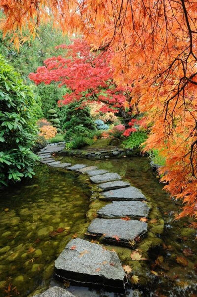 Autumn Japanese Garden, Butchart Gardens, Vancouver Island, British Columbia, Canada