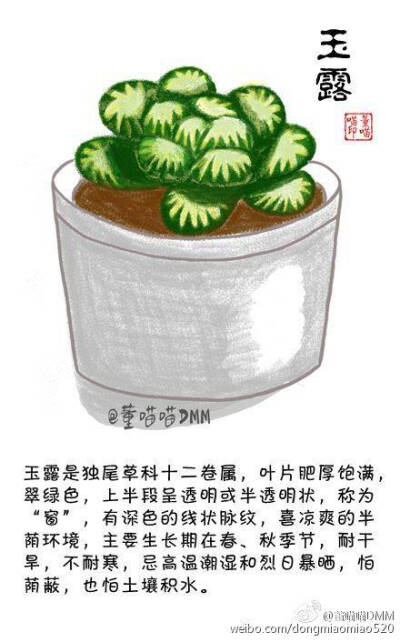 多肉植物绘