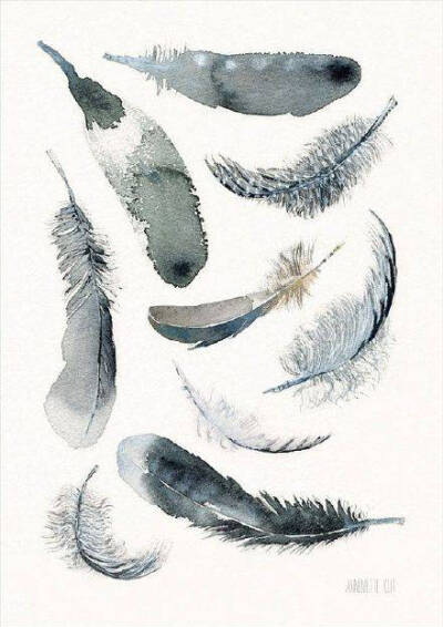 [cp]丹麦水彩画家Annemette Klit，羽之意，童话中天鹅的羽毛，美爆了~[/cp]