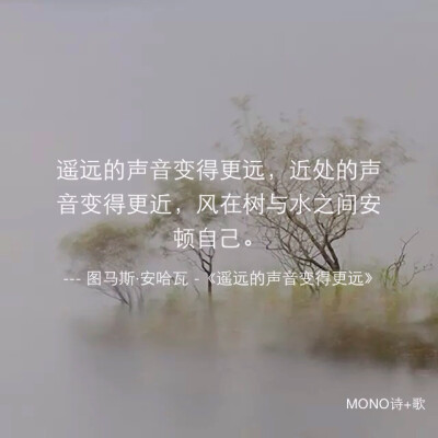 MONO 美句 短句 文艺 小清新 诗歌 文图皆来自网络 侵删致歉 【诗歌是朵永生花】