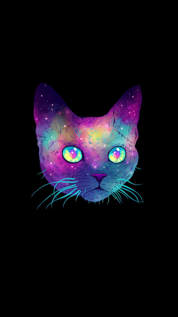 原宿星空猫 堆糖 美图壁纸兴趣社区