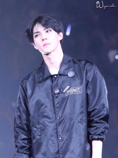 The EXO LuXion 吴世勋 oohsehun