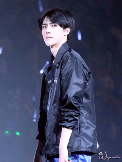 The EXO LuXion 吴世勋 oohsehun