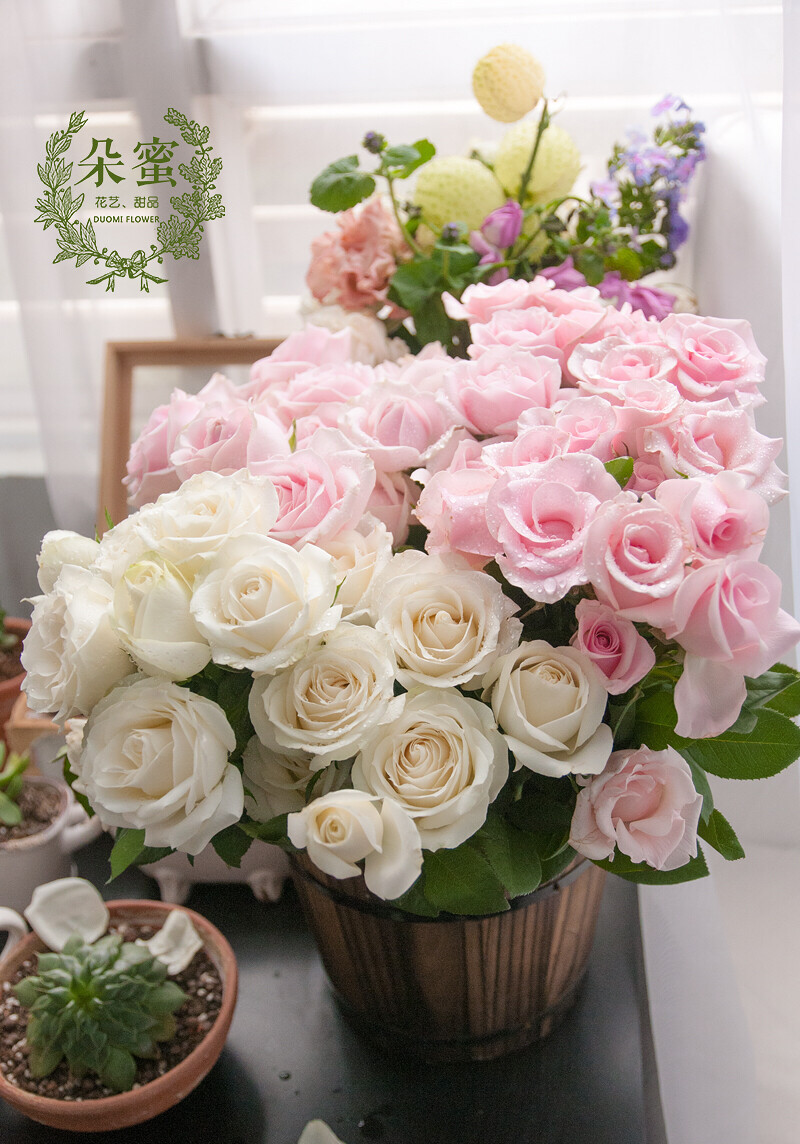 雪山白玫瑰和粉佳人[玫瑰]开的正艳雪山和淡… - 堆糖,美图壁纸兴趣社