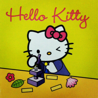 Hello kitty凯蒂