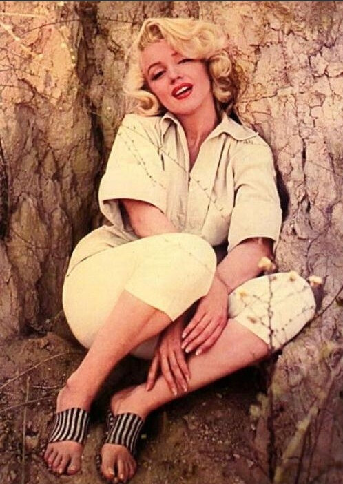 玛丽莲·梦露（Marilyn Monroe），1926年6月1日出生在加利福尼亚州洛杉矶市，美国女演员。 。1962年8月5日，梦露在洛杉矶布莱登木寓所的卧室内被发现已经去世，终年36岁。 1999年，她被美国电影学会选为百年来最伟大的女演员排名第6名。♣