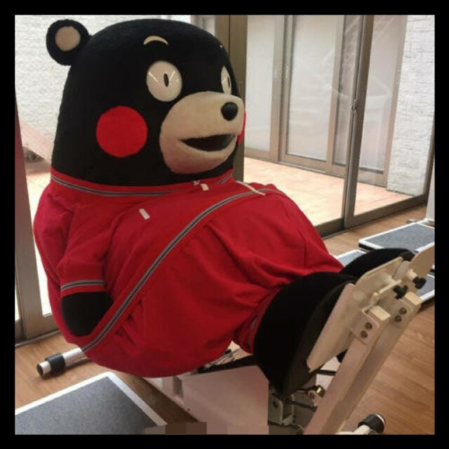 #kumamon#运动！健身！喝！哈！