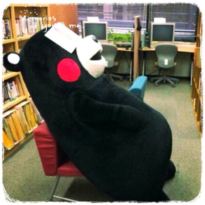 #kumamon#看书看书！