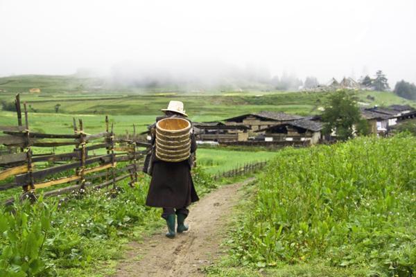 鲁朗镇，叫人不想回家的地方 鲁朗坐落在深山老林之中，藏语意为“龙王谷”。一片典型高原山地草甸的狭长地带，溪流蜿蜒，泉水潺潺，成千上万种野花怒放盛开，颇具林区特色的木篱笆、木板屋、木头桥及农牧民的村寨星落棋布、错落有致，勾画了一幅恬静优美的藏式“山居图”。或许你不懂藏语，但当地人的和善眼神便是最好的交流。 地址：西藏距八一镇80公里左右的川藏路上