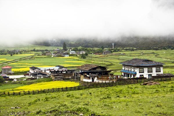 鲁朗镇，叫人不想回家的地方 鲁朗坐落在深山老林之中，藏语意为“龙王谷”。一片典型高原山地草甸的狭长地带，溪流蜿蜒，泉水潺潺，成千上万种野花怒放盛开，颇具林区特色的木篱笆、木板屋、木头桥及农牧民的村寨星落棋布、错落有致，勾画了一幅恬静优美的藏式“山居图”。或许你不懂藏语，但当地人的和善眼神便是最好的交流。 地址：西藏距八一镇80公里左右的川藏路上