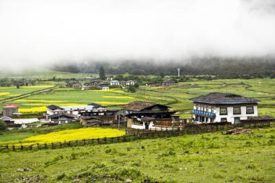 然乌镇来古村，冰川下的人家 这个叫来古的美丽村落乖乖地待在神秘的来古冰川下。你若寻它，需爬坡、经湖、走山，待你终于看到它时，相信已经筋疲力尽了——不过，这里的美景不会让你失望。百来户人家散散地分布在各…