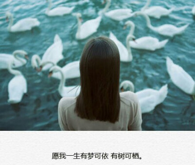 有些话说给你听。。。