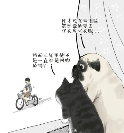 吾皇--插画师白茶