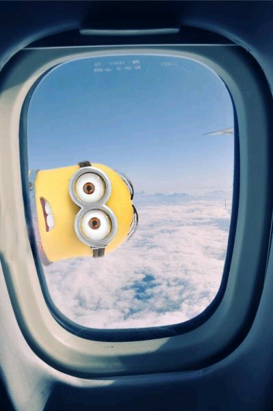 Minion