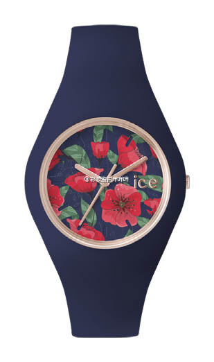 ice watch