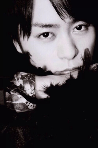 仓鼠君的大眼睛