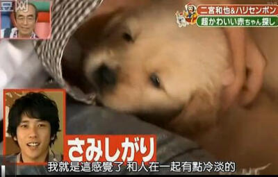 nino形容五子：自己，冷淡