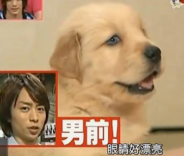 nino形容五子：sho,大眼睛亮亮的