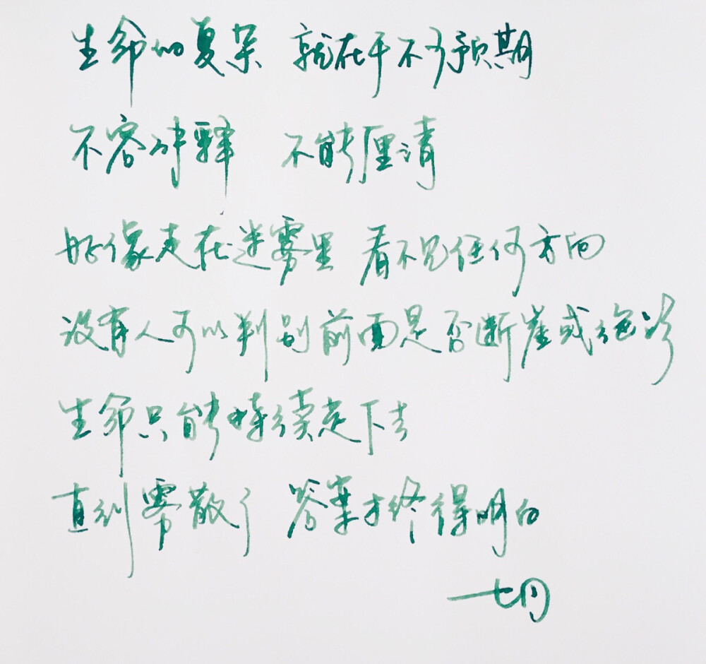 手写 明信片 高清 暖心语录 练字 书法 唯美 意境 文艺 文字 句子 文字控 七月手写 壁纸 原创壁纸 最美情话 七月微店开张 感谢捧场 为有品青年而生 http://weidian.com/s/161234960?wfr=c