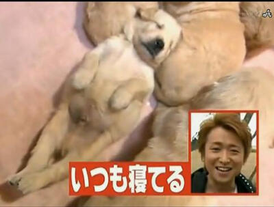 nino形容五子：leader,一直睡觉，尽量不动