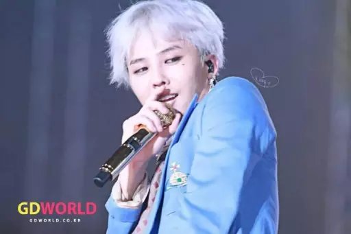 权权权、权志龙