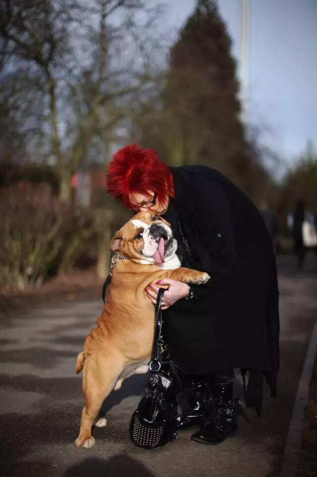 英国的克鲁夫茨狗狗展览会上，一只英国斗牛犬跟主人拥抱。