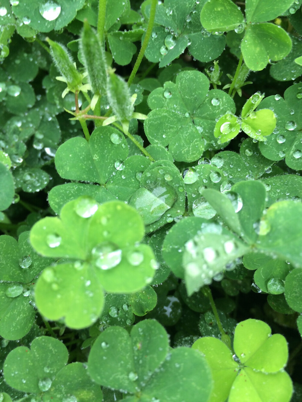 下雨天