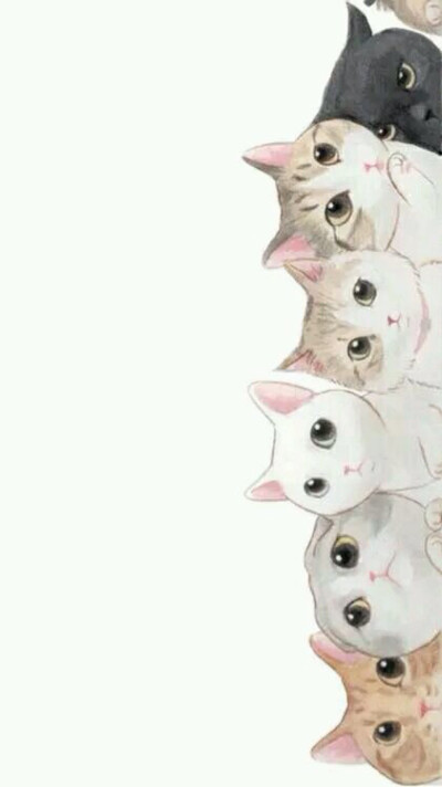 手机壁纸 猫咪 可爱 小清新 简洁
