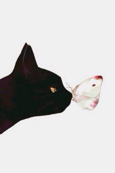 手机壁纸 简洁 小清新 猫咪 蝴蝶 手绘