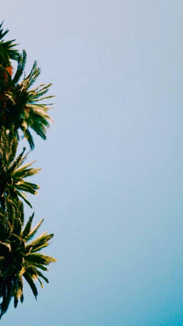 夏天的感觉。 壁纸