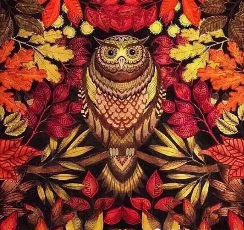 秘密花园