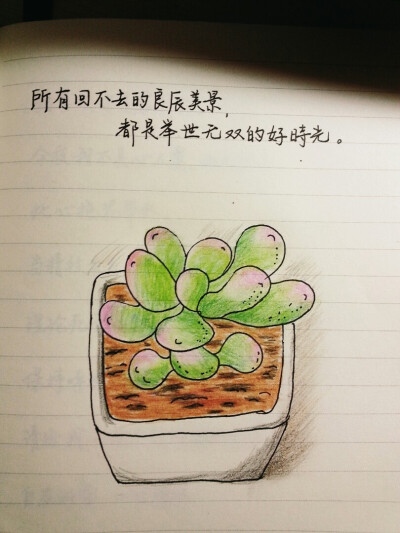 小打小闹的手绘日常。