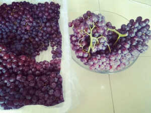 喜欢吃不用剥皮的葡萄，因为，懒！