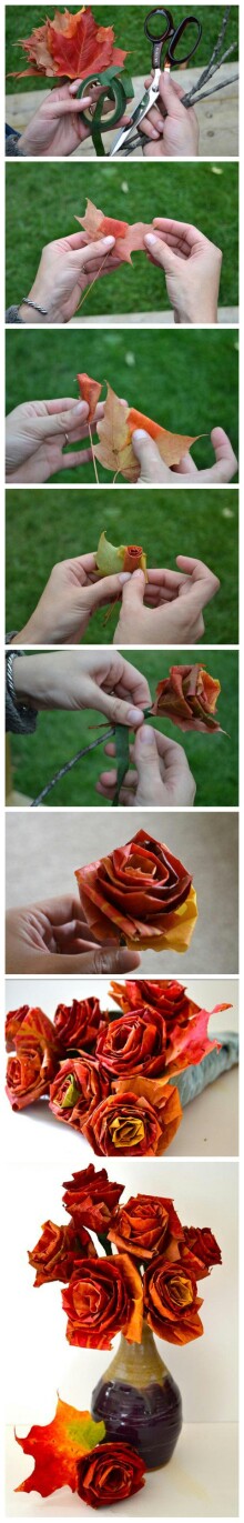 创意生活 废物利用 落叶也能成玫瑰
